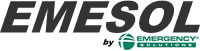 Emesol Motori Industriali
